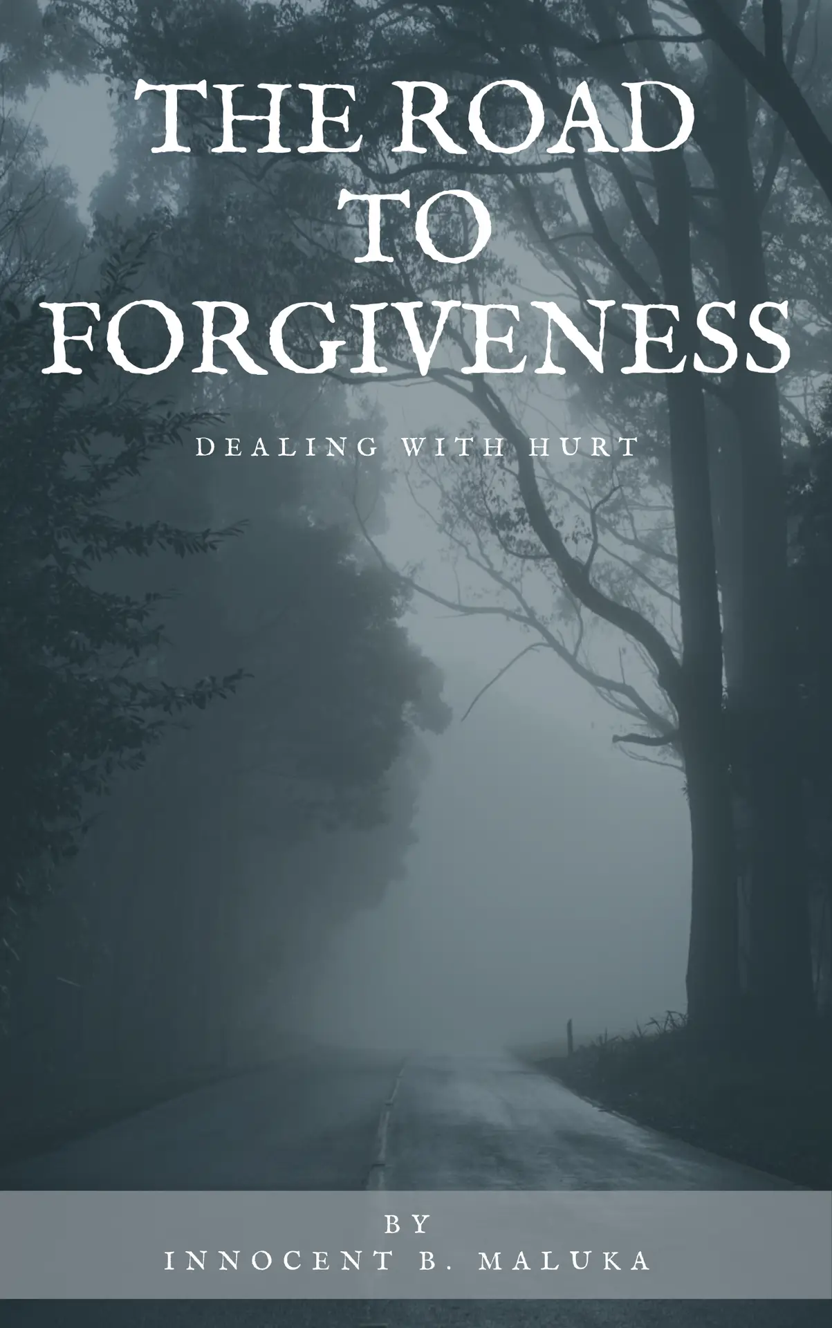 The road to forgiveness front cover The Road To Forgiveness (2ND Edition) - Image 2